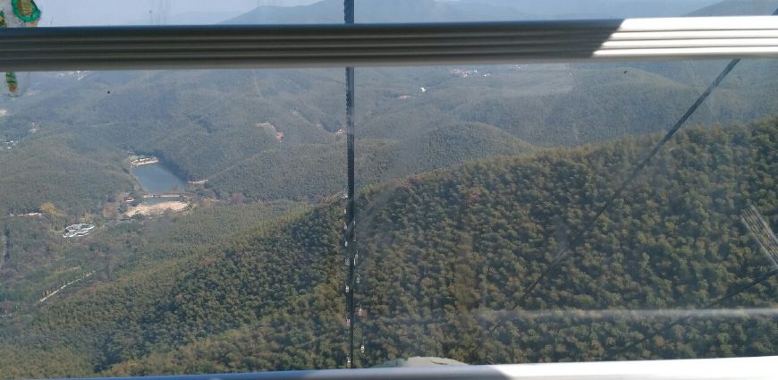 风景秀丽的宜兴竹海,漫步竹林呼吸大自然的清新