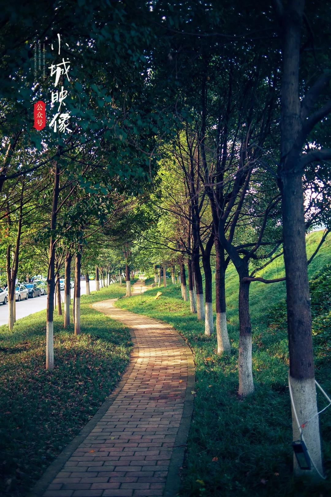 剑阁哪些地方历史悠久,剑阁县的简介