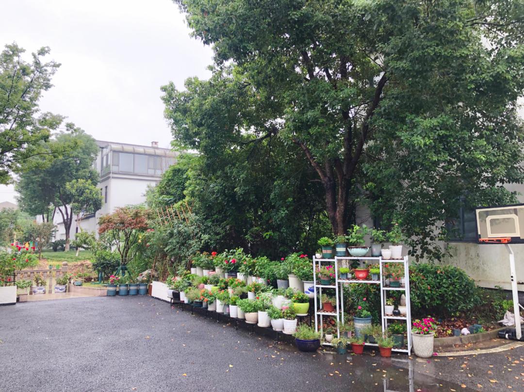 无锡江阴美丽田园,庭院深深美如画