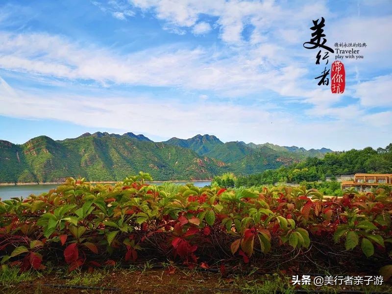 开元森泊度假酒店1848元2晚,599元2晚洲际酒店