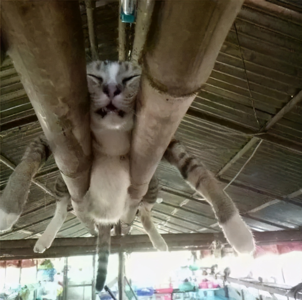 田宫模型发展史,田宫模型发家史