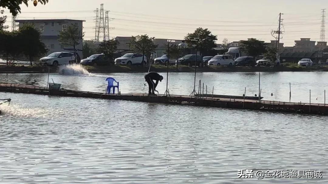 金花钓场,金花地钓鱼门票