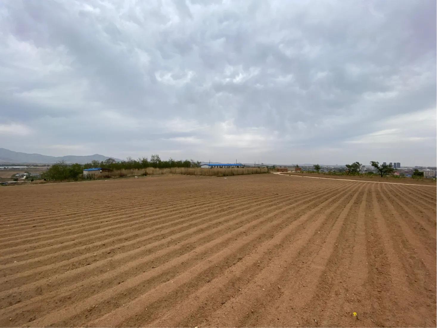 宁在殿前不在庙后是什么意思,宁住庙前不住庙后门