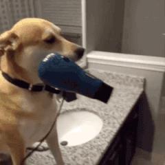 背式吹风机的价格,贵的吹风机比便宜的好吗