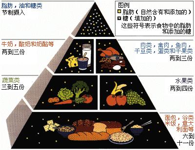 全部都是假的图片大全,一张图看出真的假的