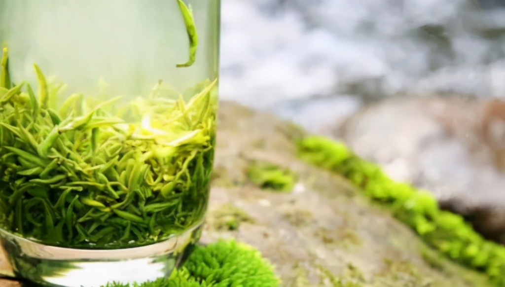 汤晓春：蒙顶散记