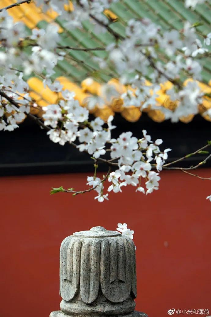 不出国就能环游世界的地方,不用出国门也能环游世界