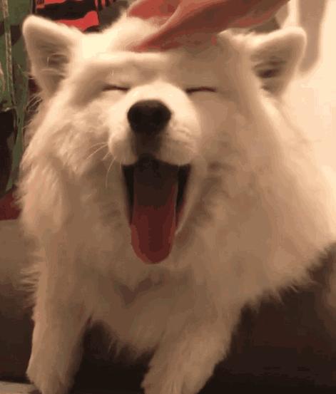 如何用excel给学生成绩分段统计,excel年龄分段统计