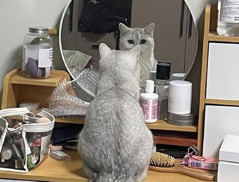 女朋友总是为难你该怎么办,当女朋友对你不耐烦了怎么办