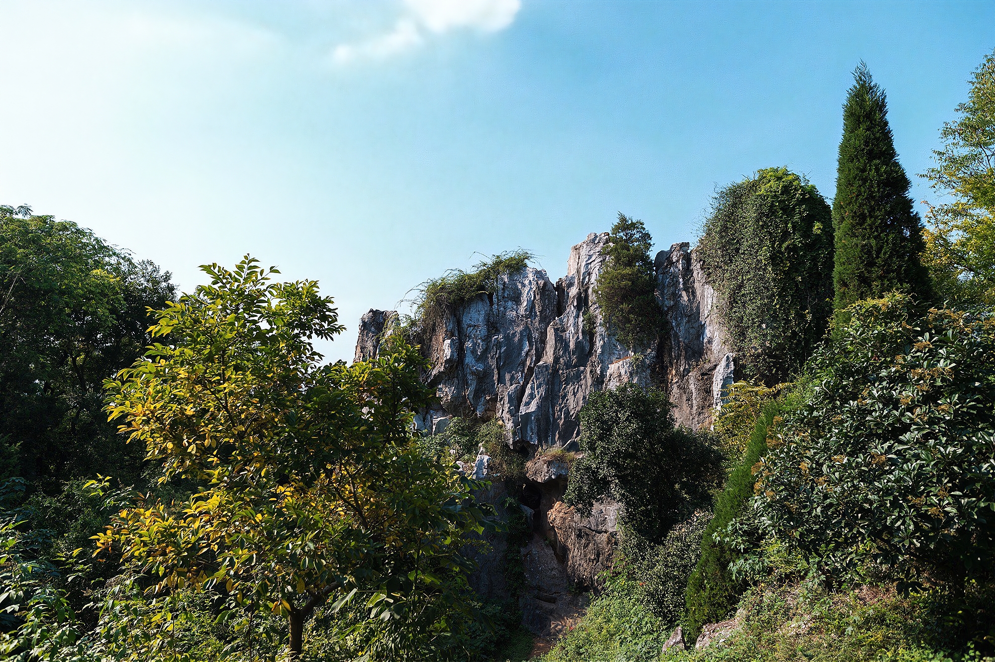 苏州太湖之中的隐藏岛,苏州隐秘岛屿有哪些景点