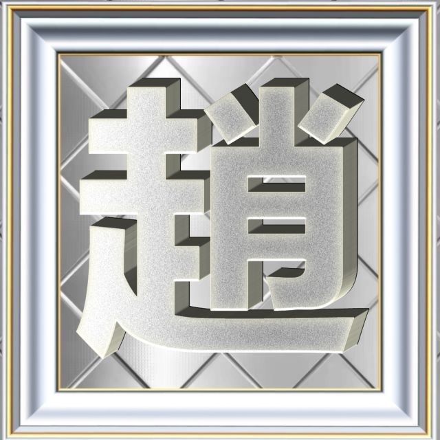 3D立体白金字体姓氏微信头像精选，超级棒