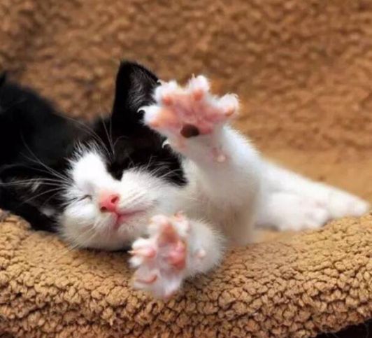 男友回消息冷淡怎么办,男友对我不冷不热怎么发信息