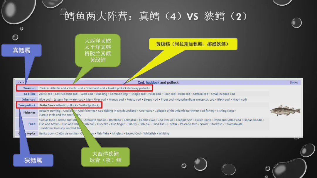 樊哥说中国美食,樊哥讲冰鲜生鲜