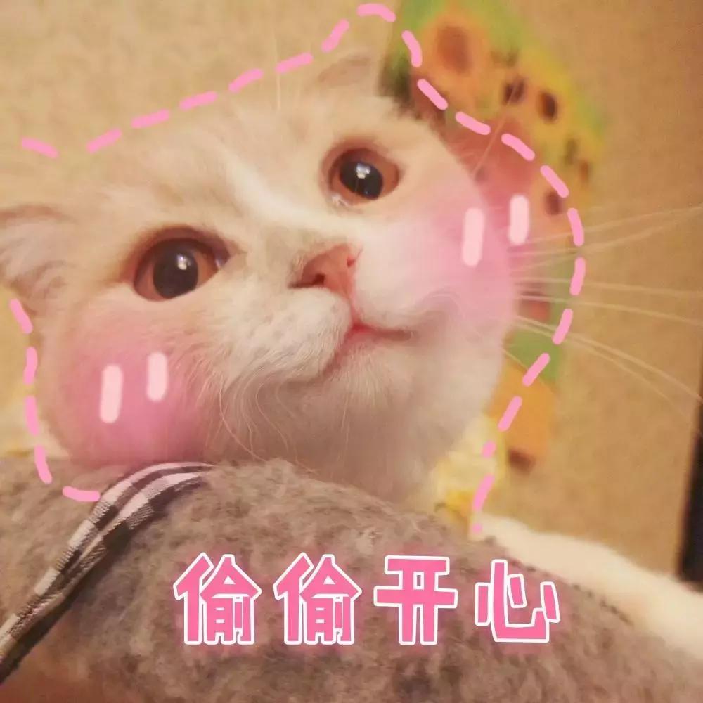 完美日记眼影盘哪个最值得买新手,完美日记探险家十二色动物眼影盘