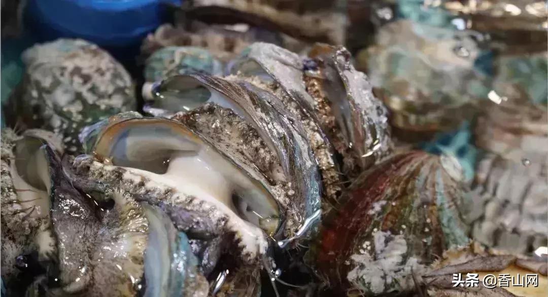 珠海有哪些海鲜街,珠海南屏海鲜街