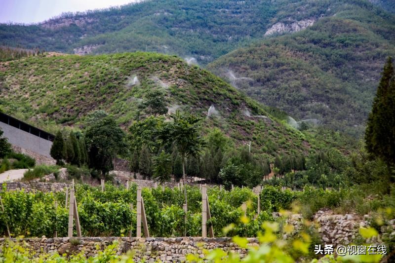 山西平定：富利农业合作社的乡村旅游致富经