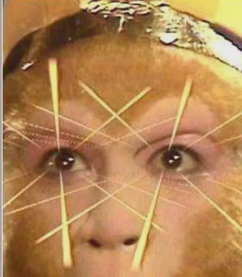 澳洲kmart怎么样,澳洲kmart打折的时间