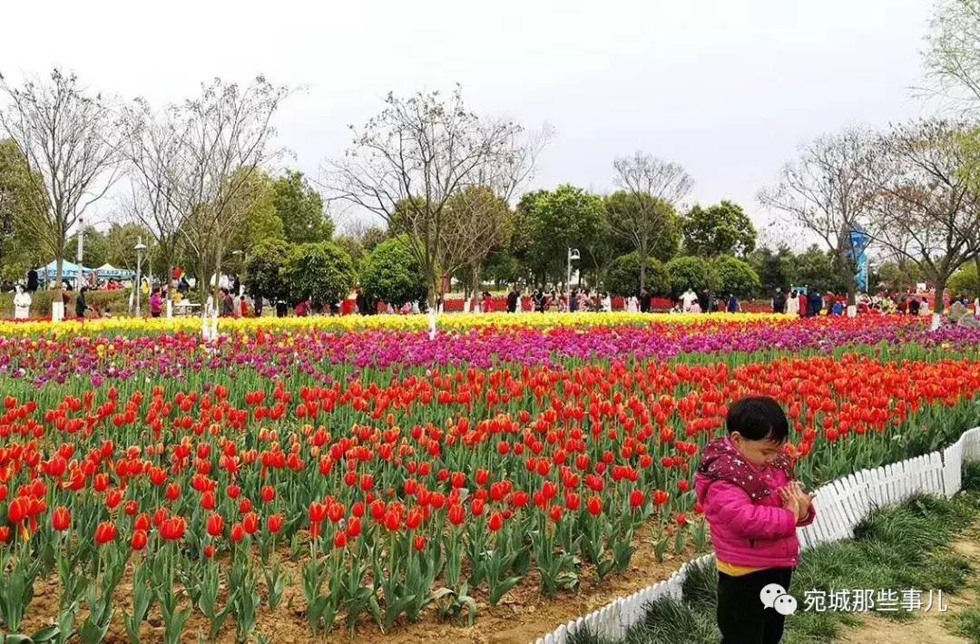 南阳老徐,河南南阳老徐最新视频