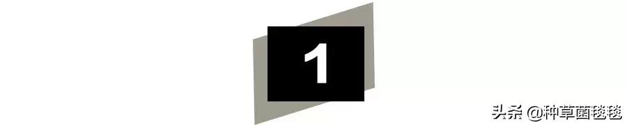 jennie杨幂包包,jennie杨幂宋茜