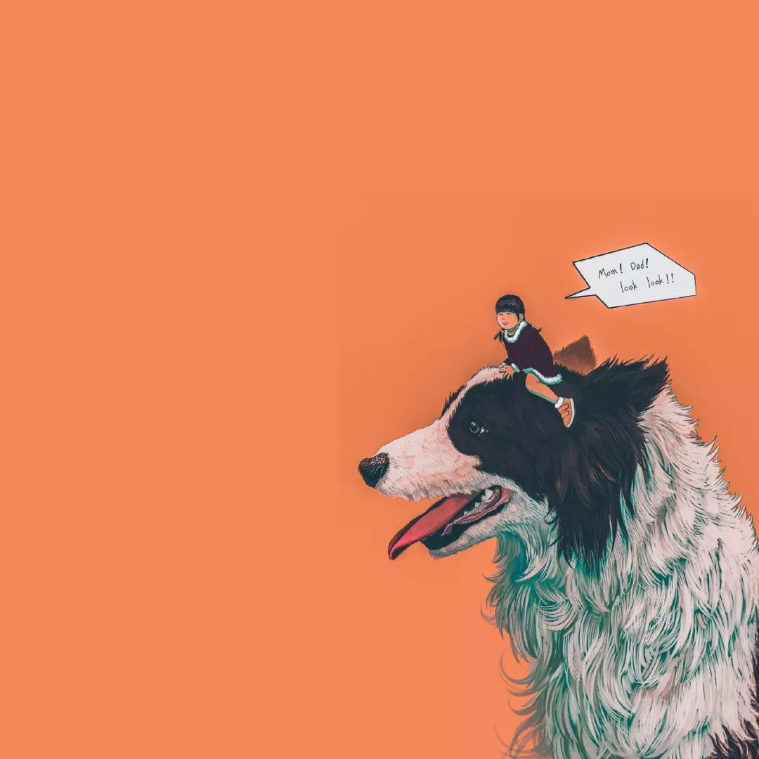 ipad用什么壁纸软件,壁纸ipad高清无水印