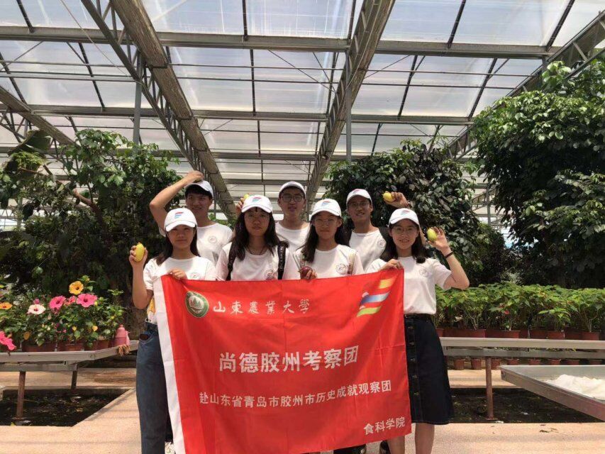 我眼中的滨城,我眼中的胶州市