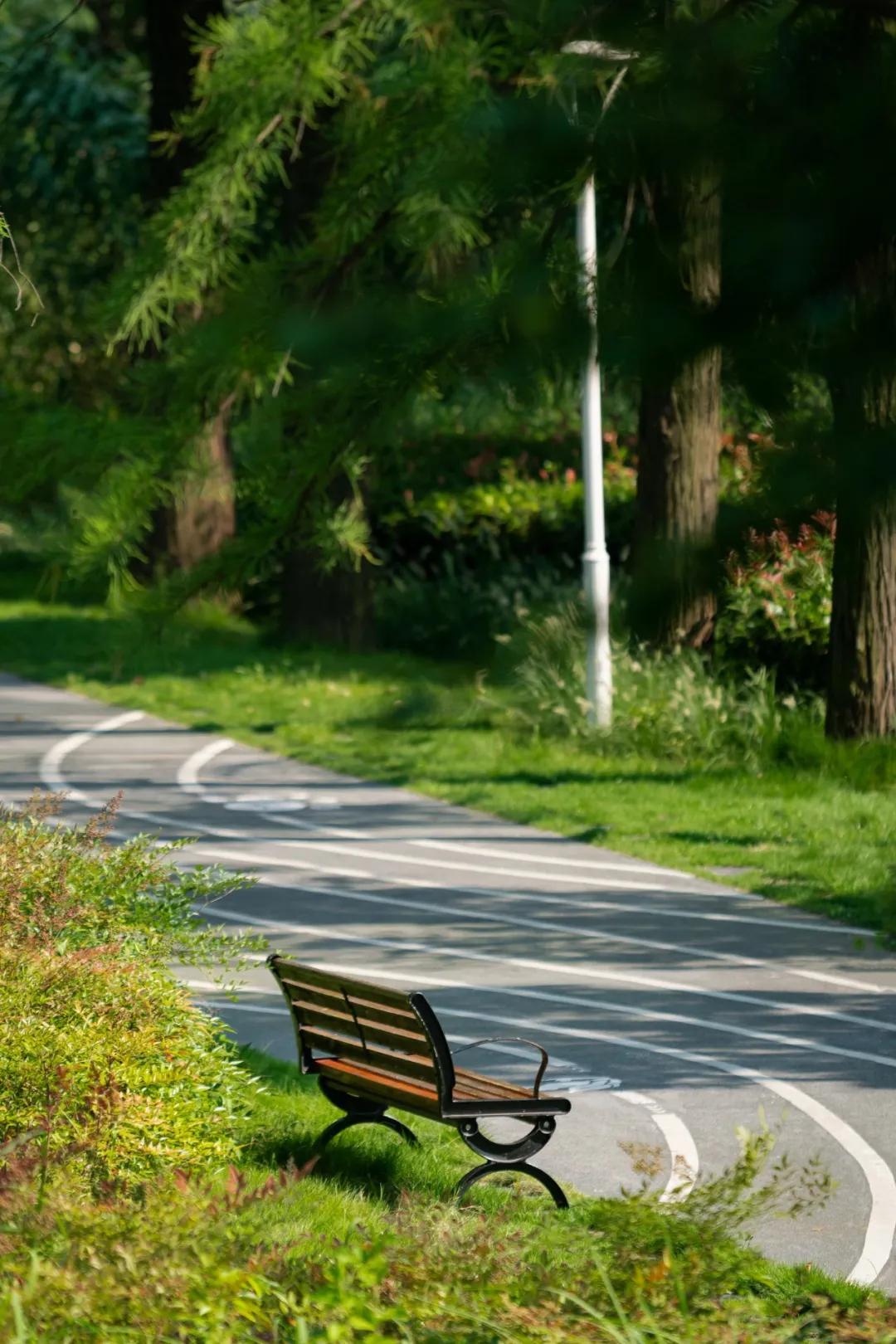 武汉华侨城湿地公园绿化,华侨城生态湿地公园武汉什么区