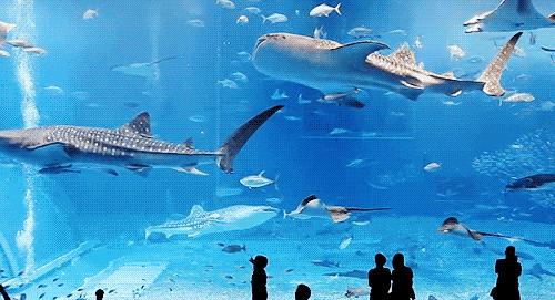 三亚5天4晚旅游攻略便宜,三亚旅游攻略1人