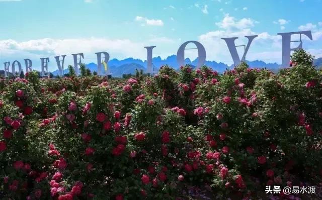 岁月安好，时光静好！愿在易县，与你共赴终老！