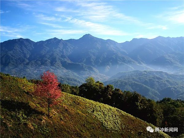 腾冲樱花谷樱花节,腾冲樱花谷最佳观赏季