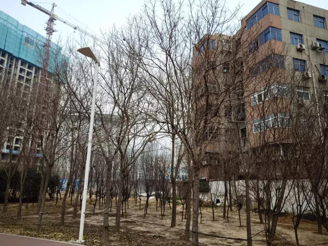 郑州西三环与西四环相差几公里,郑州西四环未来5年规划