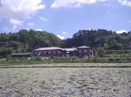 乡村旅游！免费在手机上自制导航定位！手机导航的4个超实用功能