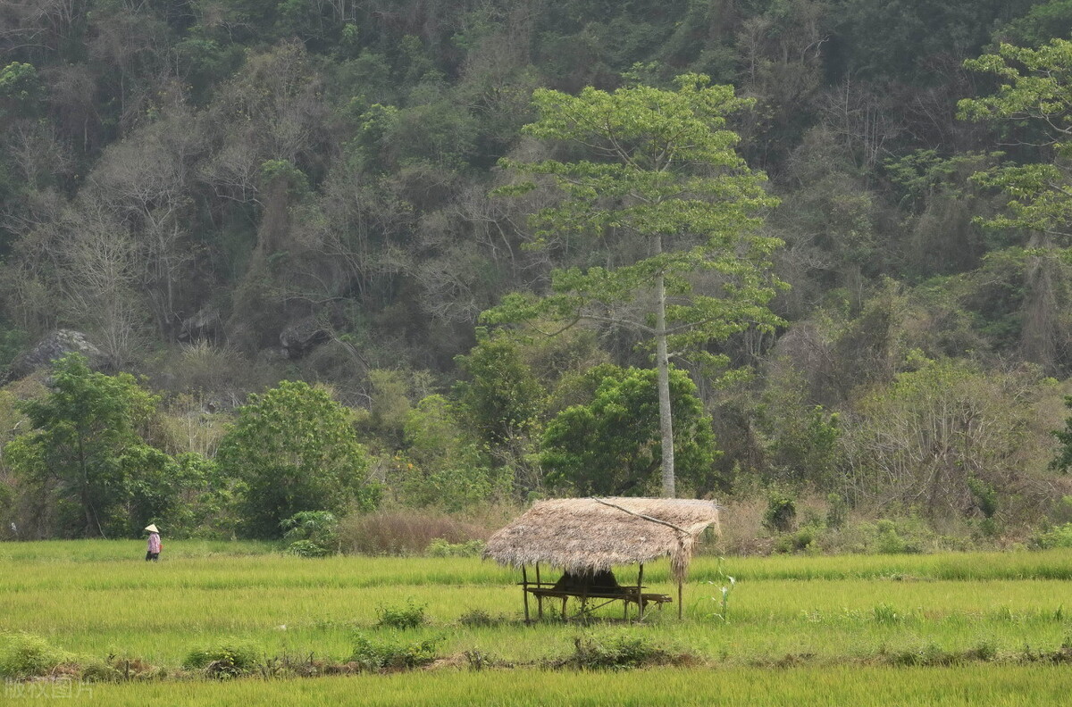 海南省东方市介绍,海南地名由来