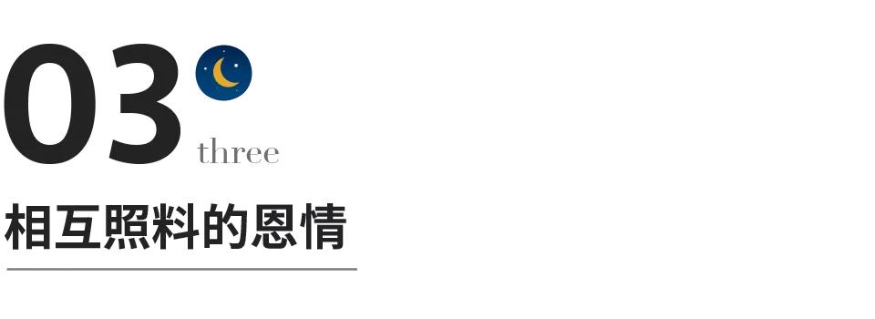 什么是夫妻,什么是夫妻共同财产