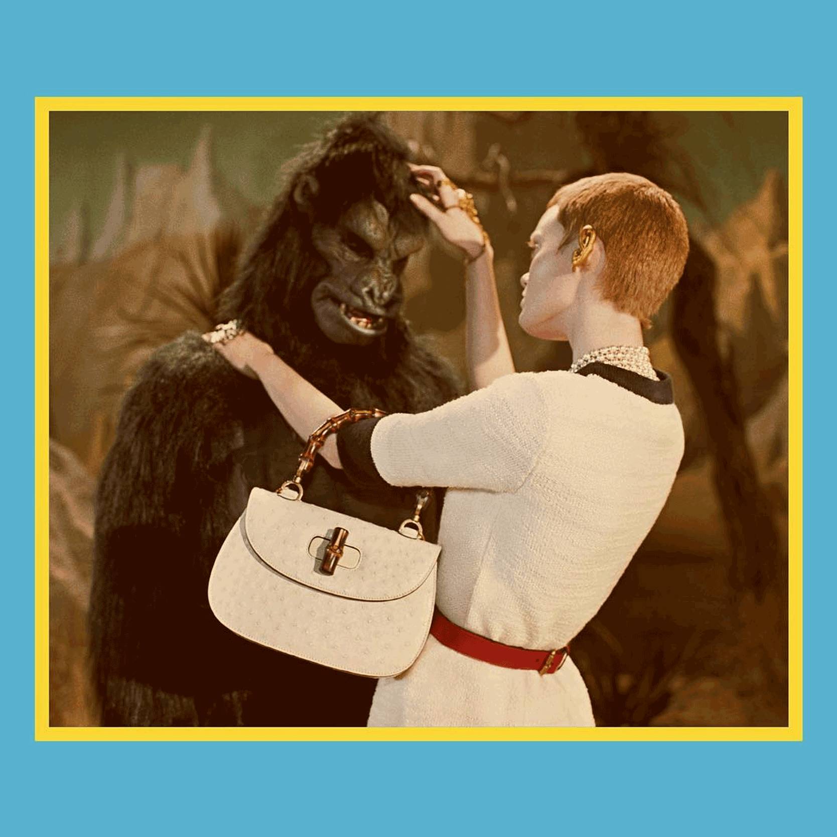 中了Gucci的毒|只能通过买买买来治愈自己了