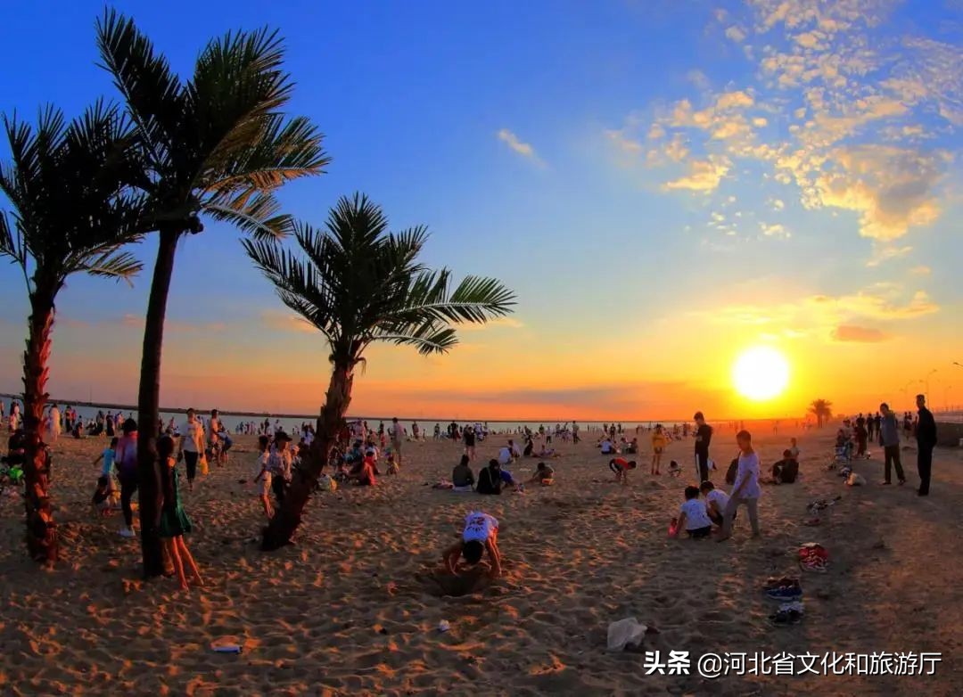 渤海湾赶海抓蟹,曹妃甸捉螃蟹挖蛤蜊哪里最好