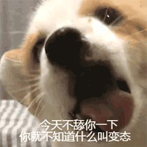 看个大病大概要花多少钱,看个病报销多少