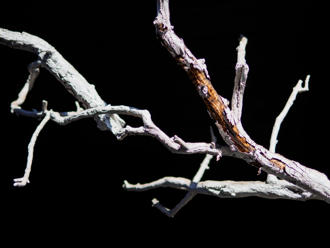 行摄北京798丨用奥林巴斯寻找光和影