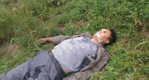 小区300多头狗被毒死,狗在小区被毒死是什么案件