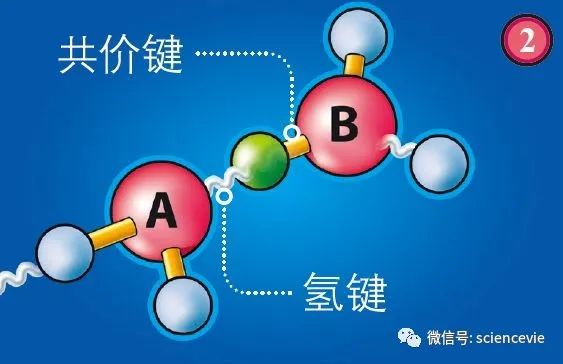 冰山融化科学家可以发明什么,科学家挖出一个大冰块