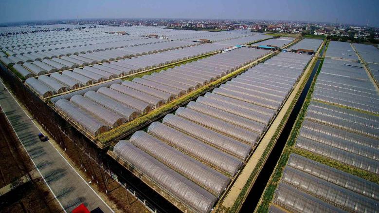 大棚湿度最佳解决方法,大棚育苗怎么控制温度湿度