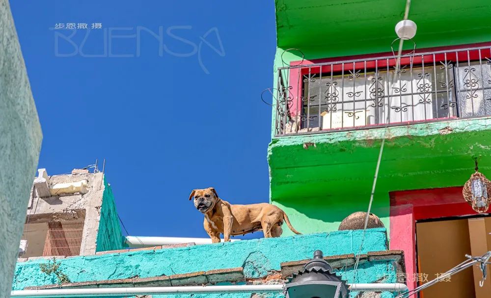 瓜纳华托墨西哥旅行,墨西哥旅游坎昆瓜纳华托