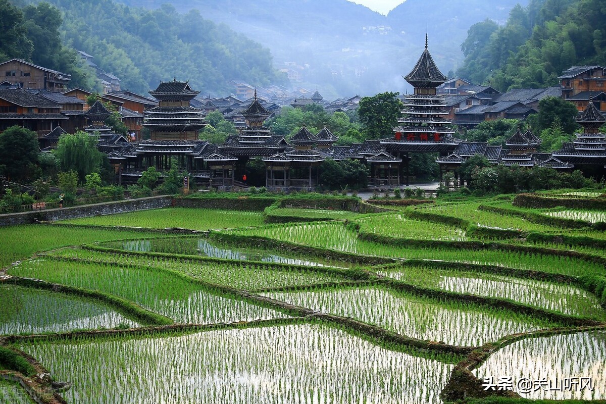 农村老话“端午晒蛤蟆，再热也不怕”啥意思？端午为何要晒蛤蟆？