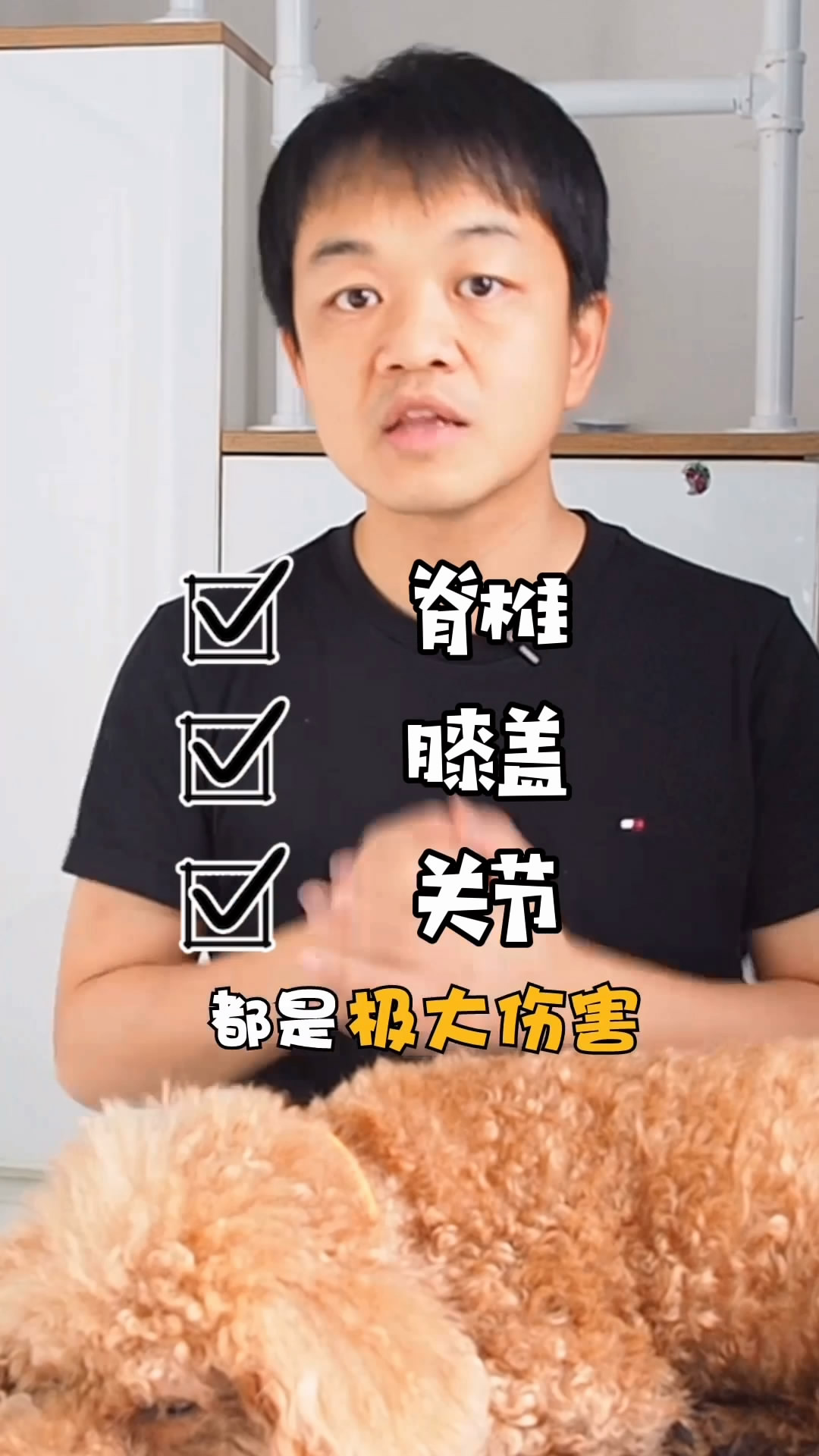 教狗狗直立行走的基本步骤,如何训练狗狗直立行走