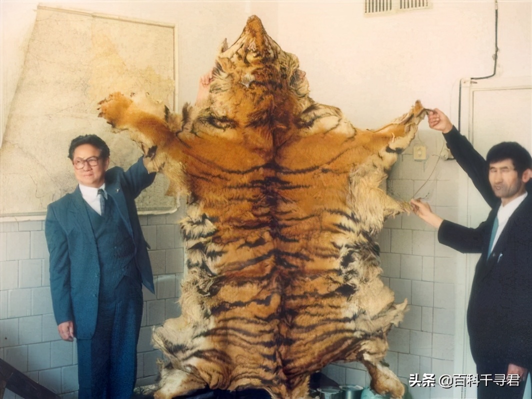 最大内陆国计划让里海虎“秽土转生”，莱昂纳多曾发文支持