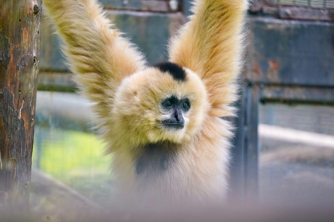 无反全能镜头,适马400mmf5.6测评