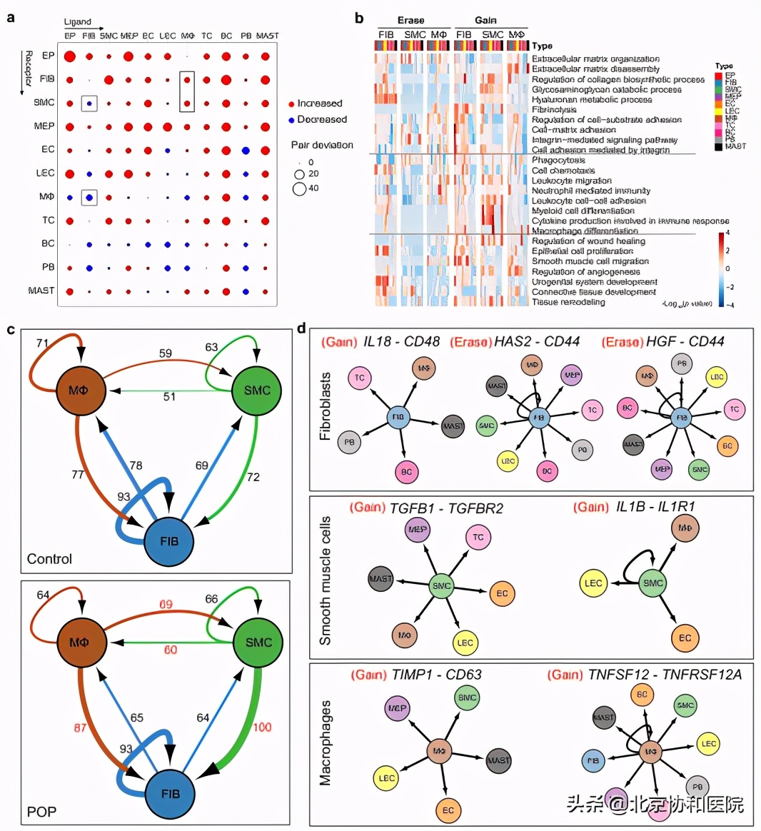 协和医院妇产科专家朱兰教授,协和妇科朱兰