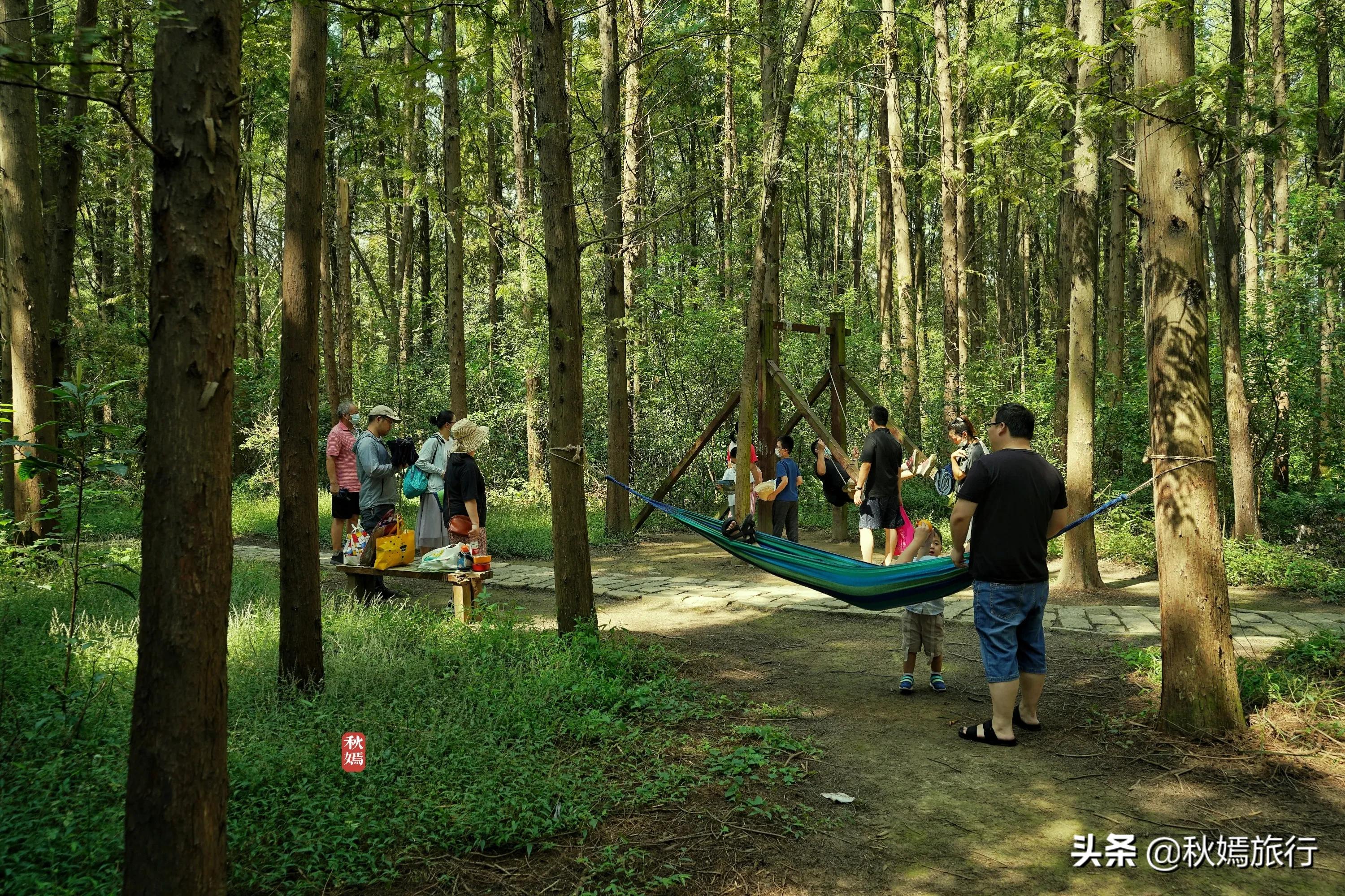 苏州吴中太湖新城苏州湾湿地公园,苏州湿地免费公园虎丘