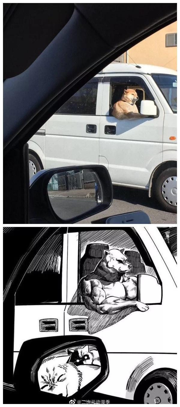 又一位肌肉*男猛**出现了，这个系列永不完结……