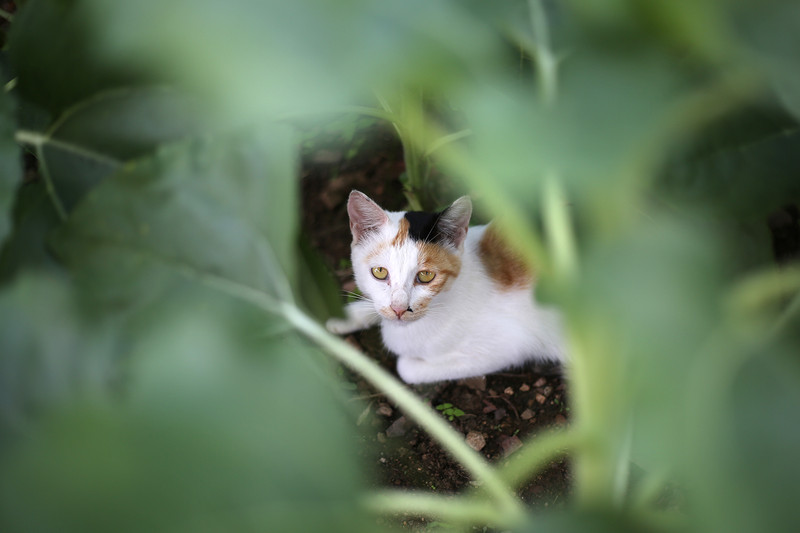 两天一夜游密云,密云两日游最佳攻略