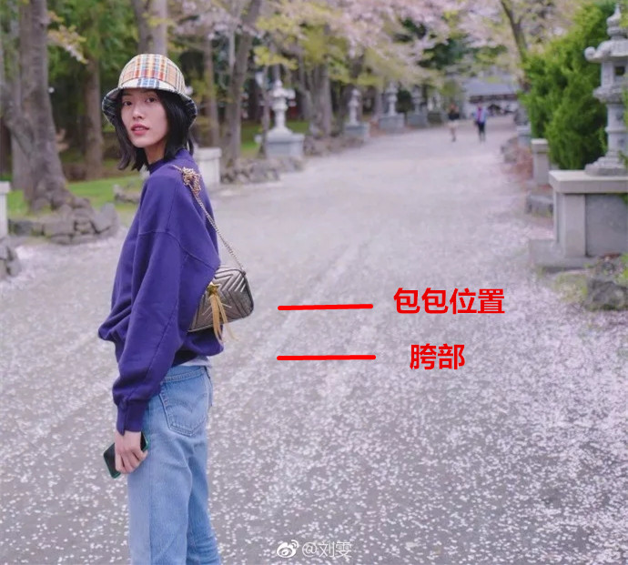 适合背什么样的包包,又高又胖适合背什么款式的包包